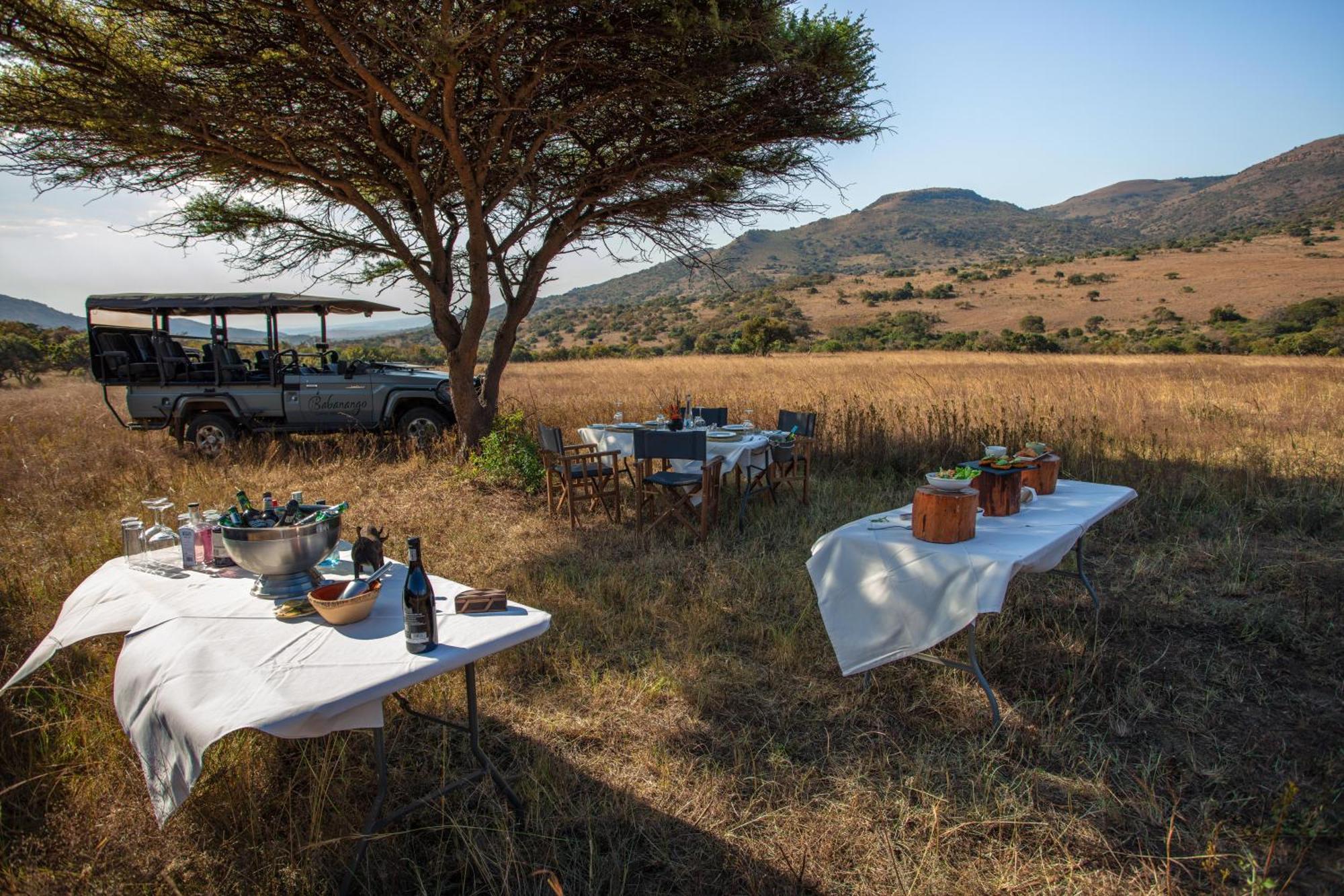 Valley Lodge - Babanango Game Reserve Dundee Extérieur photo